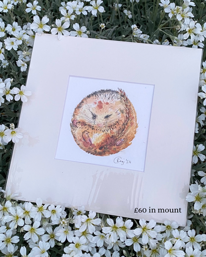 Original We All Need Different Amounts of Rest Dormouse - in mount