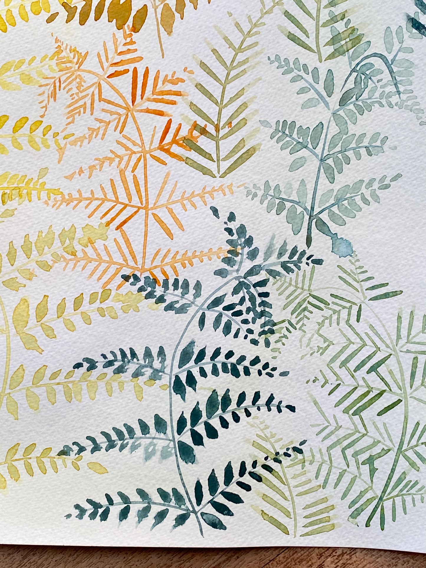 Ferns and sunlight Tutorial (Pre-Recorded)