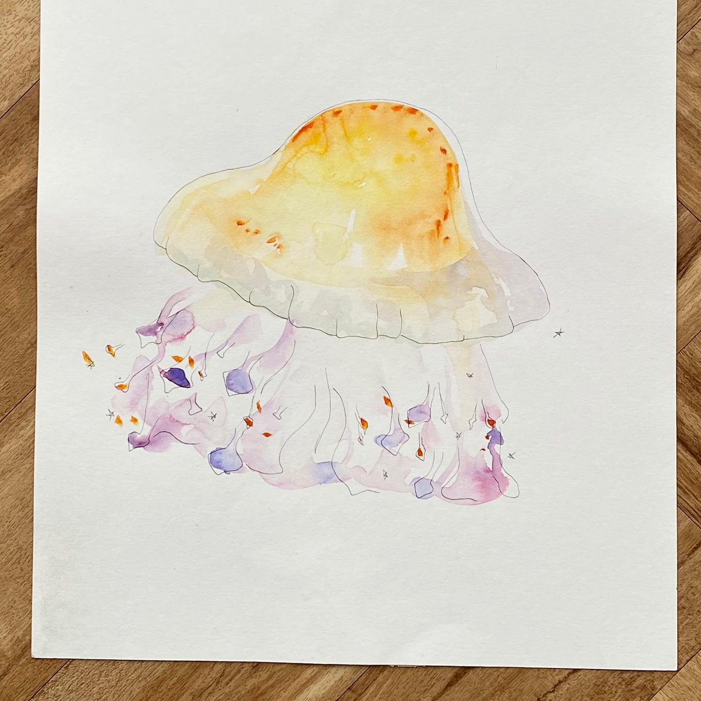 Original sketches and drafts - Fried Egg Jellyfish