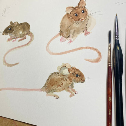 Antiperfection Mice Tutorial (Pre-Recorded)
