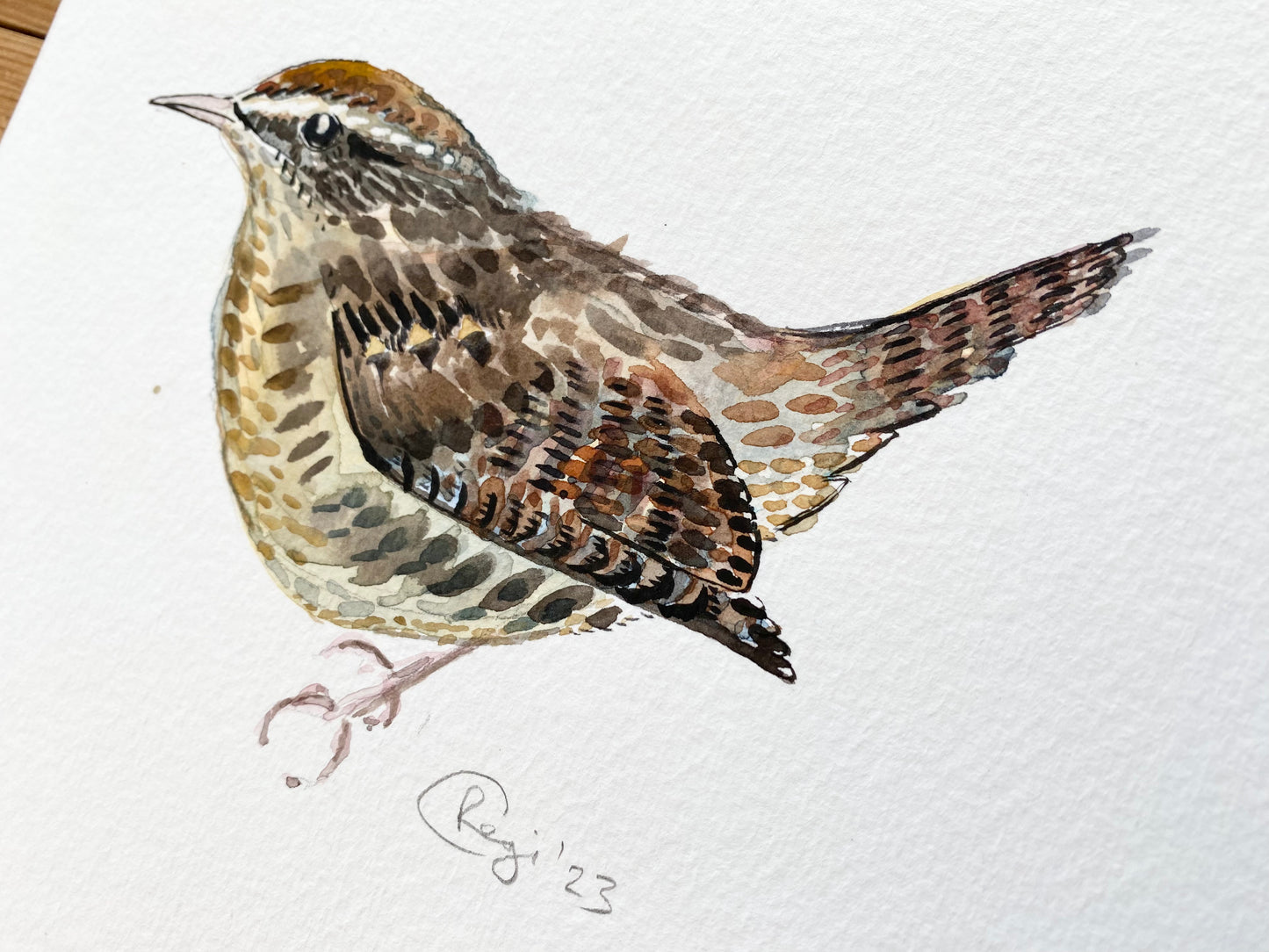 Original Wren Watercolour