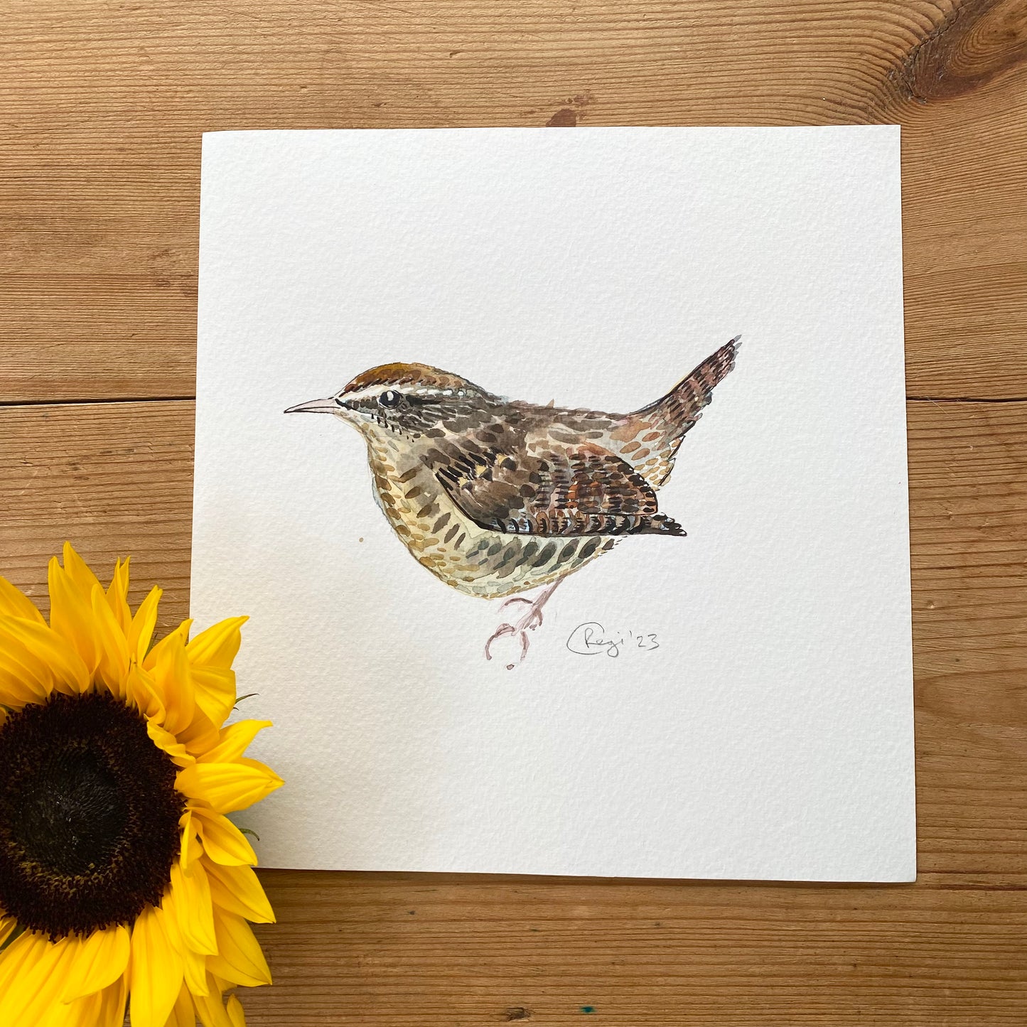 Original Wren Watercolour