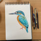 Original Kingfisher Watercolour