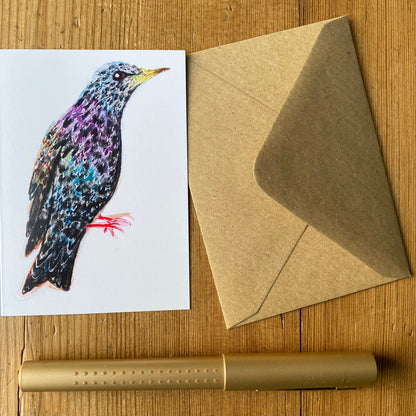 Birds notecards set x 5