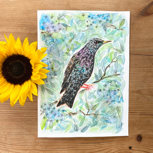 Original Starling Watercolour