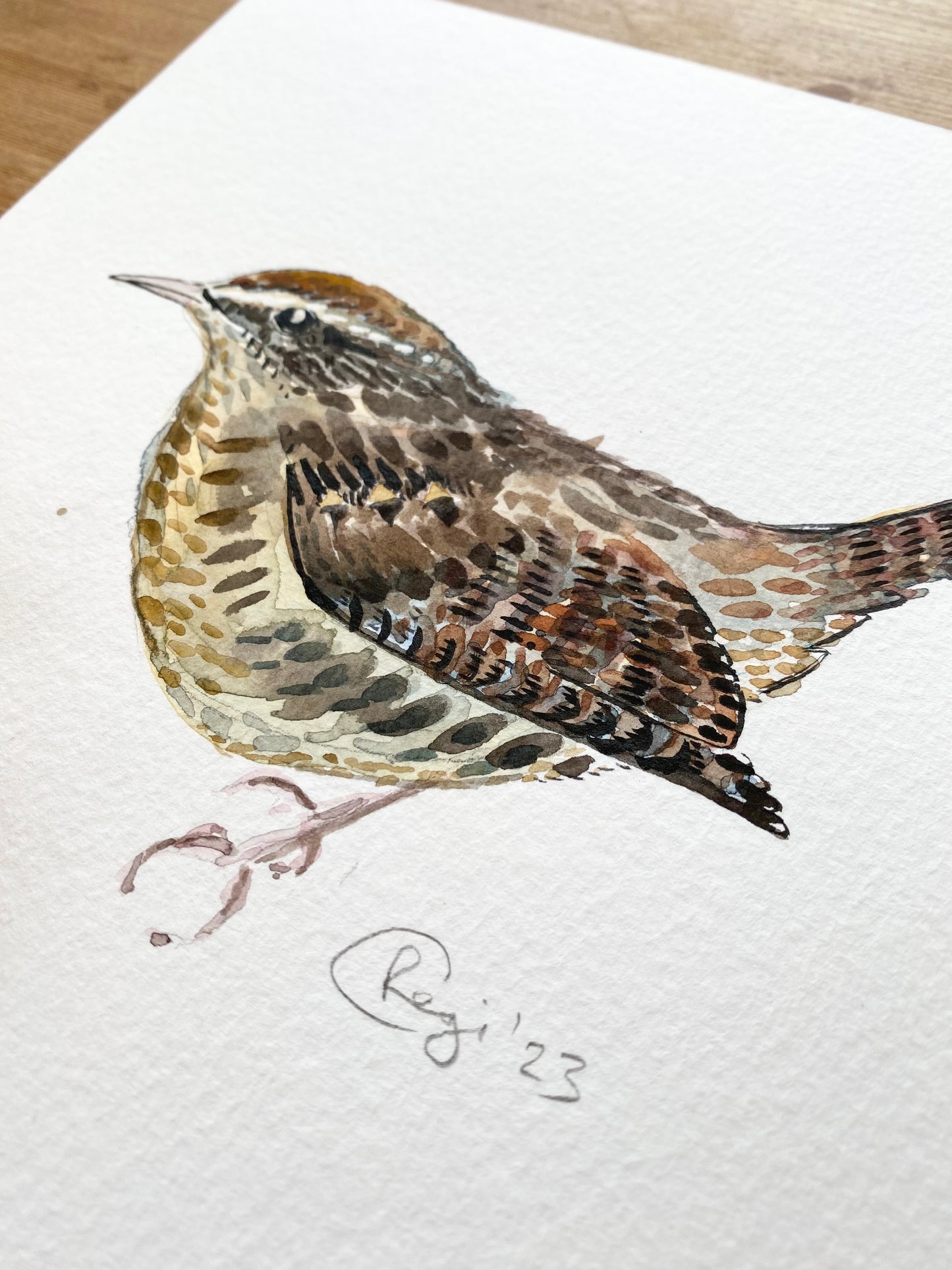 Original Wren Watercolour