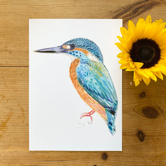 Kingfisher A4 Print