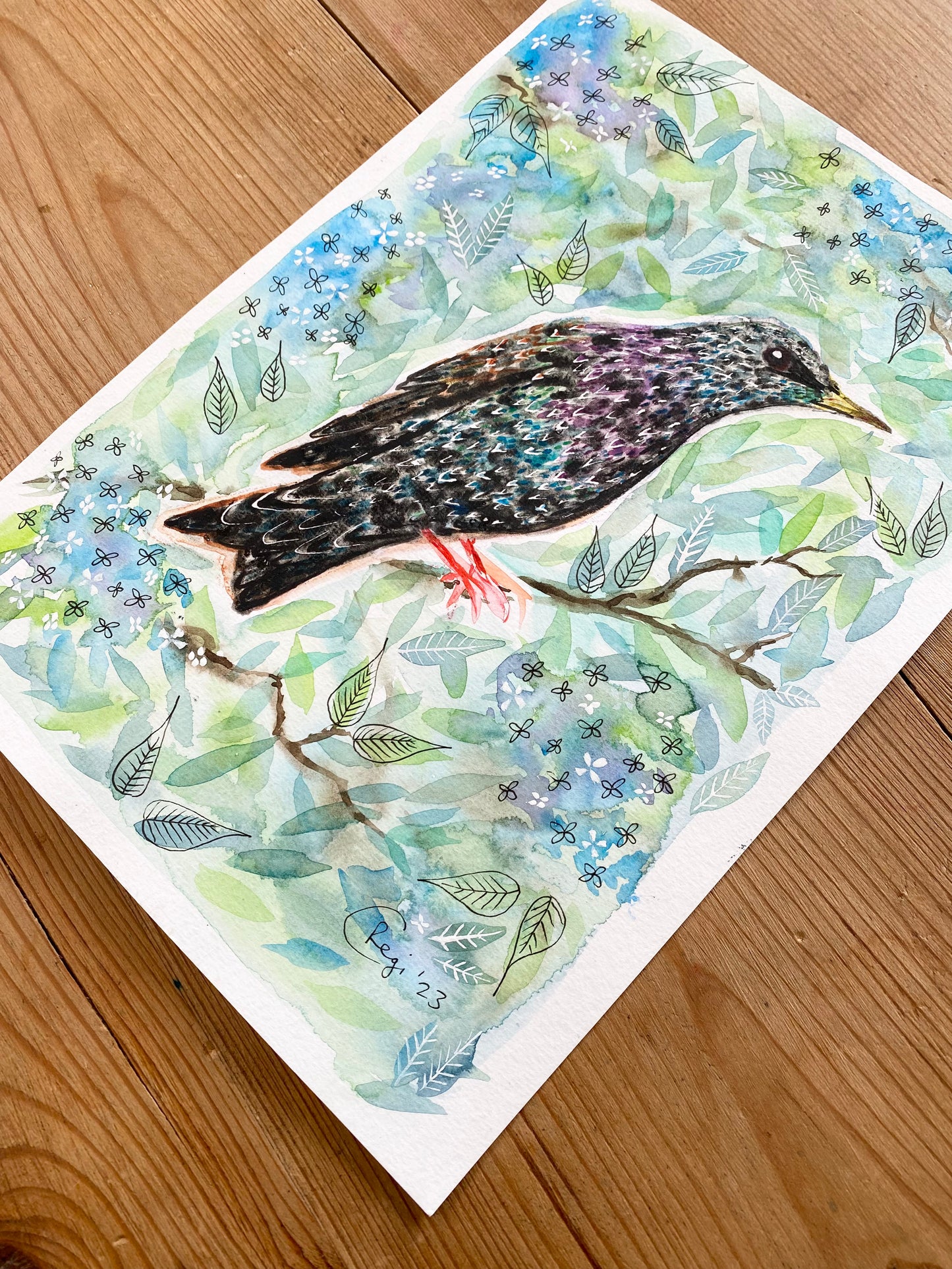 Original Starling Watercolour