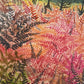 Hathersage Ferns A3 Print