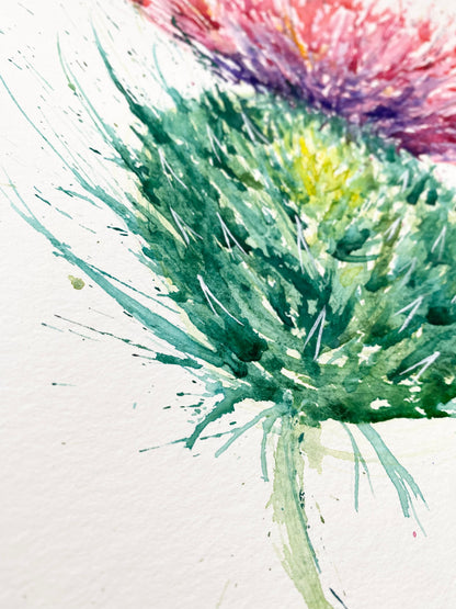 Original A3 watercolour thistle leaning