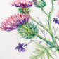 Original watercolour thistle plant