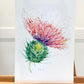 Limited edition A3 Giclee - Leaning thistle