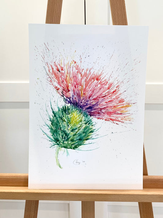 Limited edition A3 Giclee - Leaning thistle
